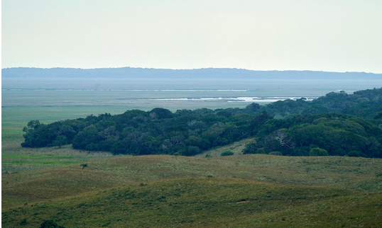 Grenze zwischen Wald und Savanne in Afrika